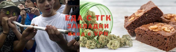 стаф Корсаков