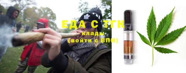 стаф Корсаков