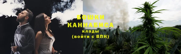 стаф Корсаков