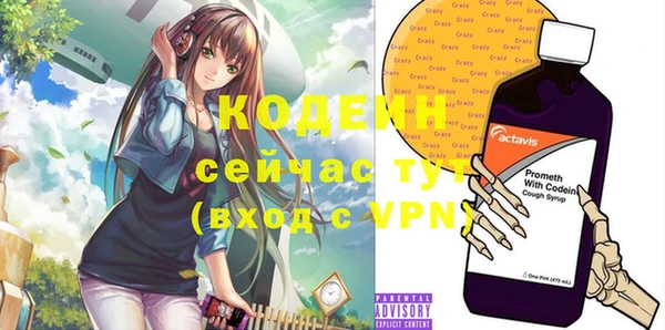 стаф Корсаков