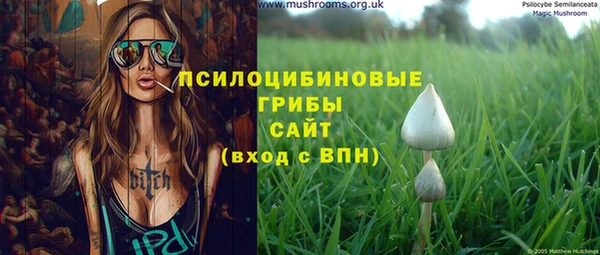 прущая мука Абаза