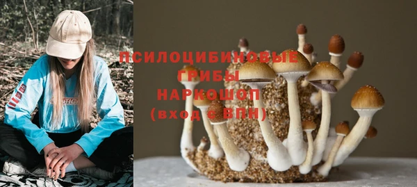 прущая мука Абаза