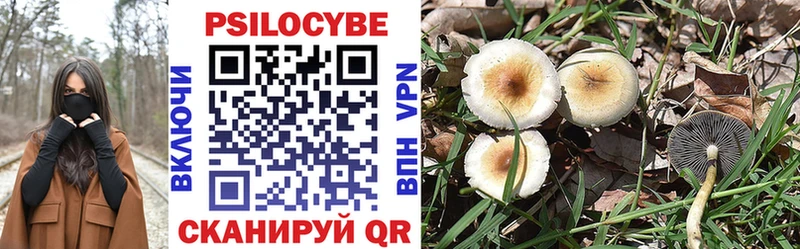 Псилоцибиновые грибы Psilocybine cubensis  Янаул 